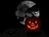 Halloween Black Cat Desktop Background Wallpaper